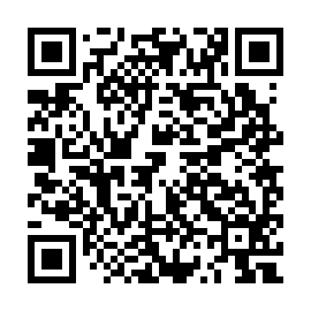 QR code for LV2396