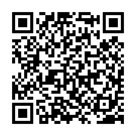 QR code for LV2411