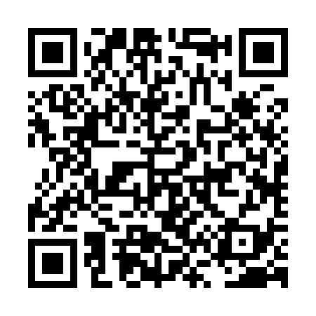 QR code for LV2939