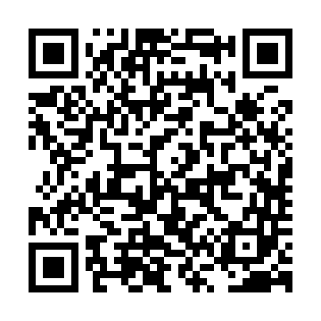 QR code for LV2943