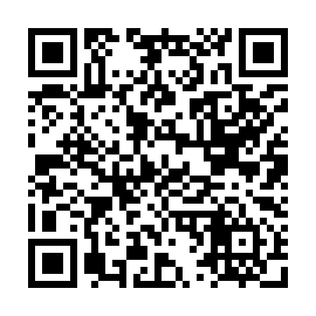 QR code for LV2994