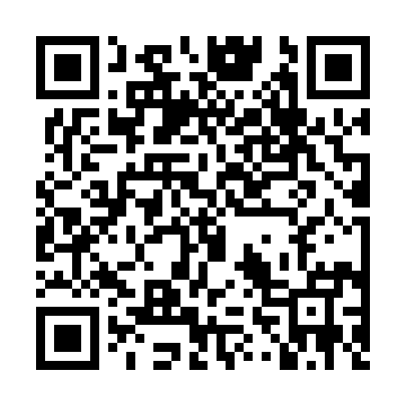 QR code for LV3095