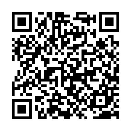 QR code for LV4307