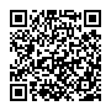 QR code for LV4666