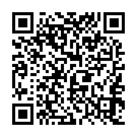 QR code for LV4953