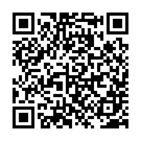 QR code for LV6382