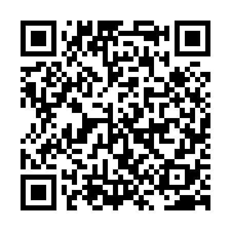 QR code for LV6878