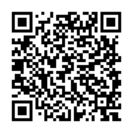 QR code for LV6994