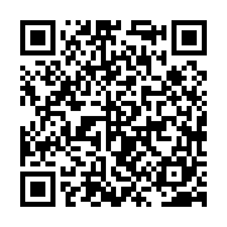 QR code for LV8165