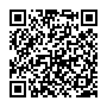 QR code for LV9491