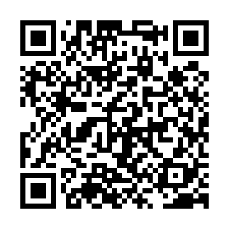 QR code for LV9528