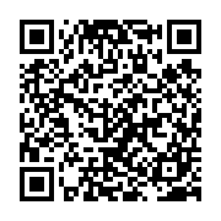 QR code for LX9607