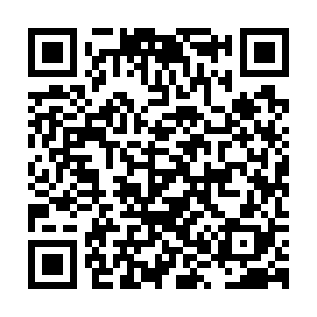 QR code for LX9728