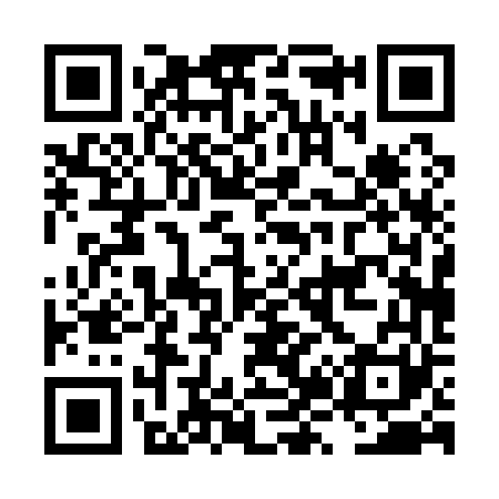 QR code for LZ0161