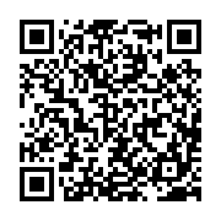 QR code for LZ0294