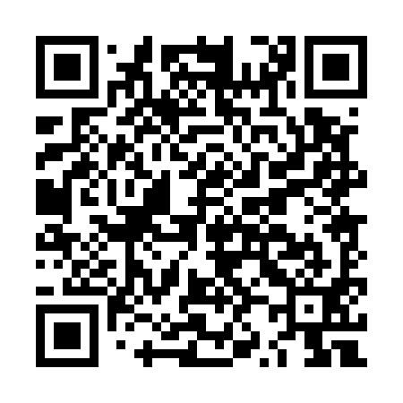 QR code for LZ0591
