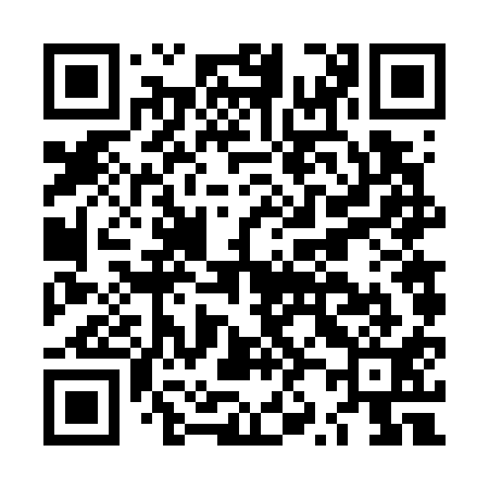 QR code for LZ6711