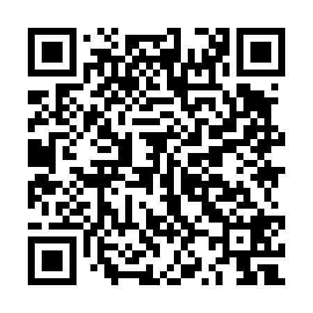 QR code for LZ9428