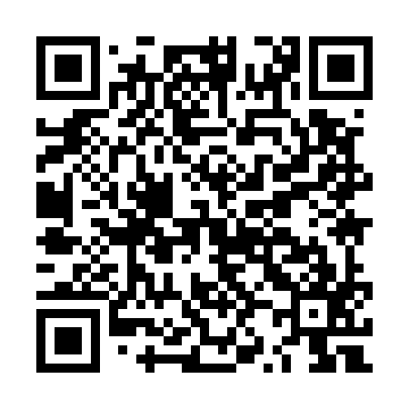 QR code for LZ9597