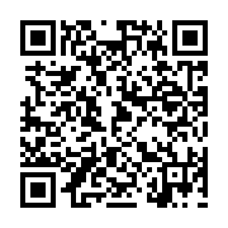QR code for LZ9994