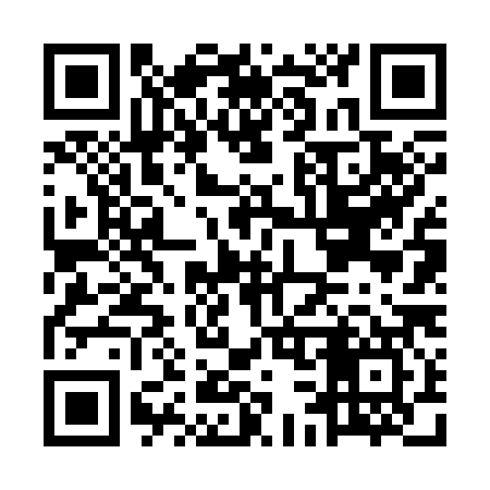 QR code for MC6387