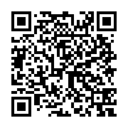 QR code for MD9738