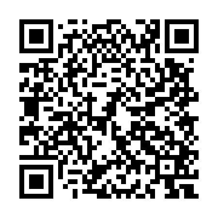 QR code for MG0541