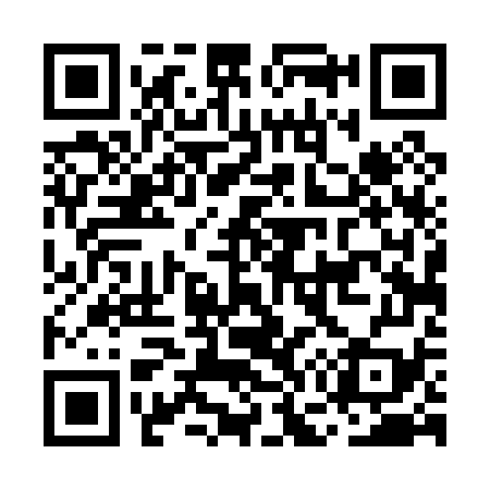 QR code for MG4079