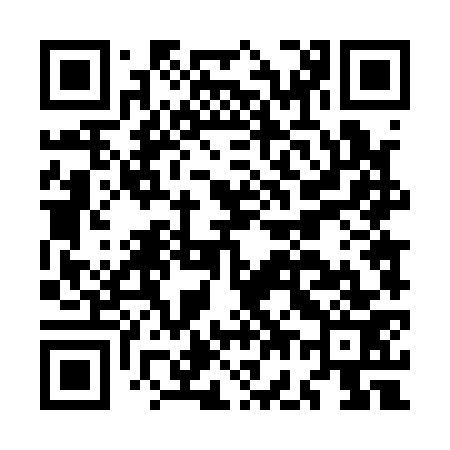 QR code for MG4173