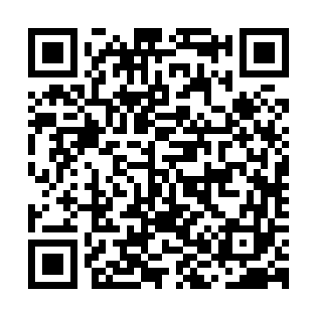 QR code for MH2863