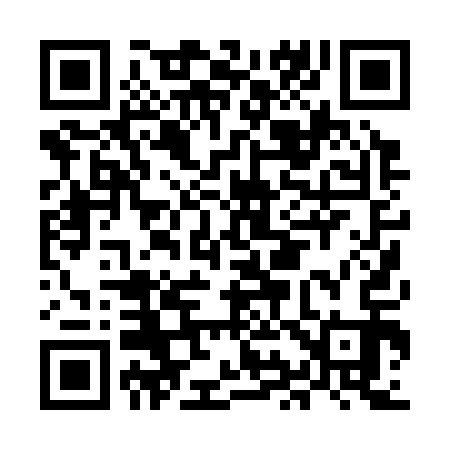QR code for MI0313