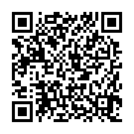 QR code for MI0384