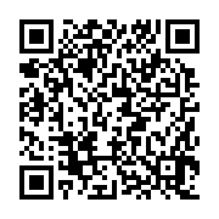 QR code for MI0386