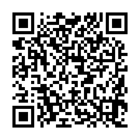 QR code for MI1995