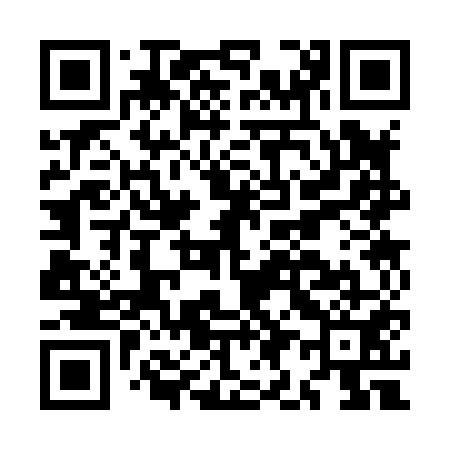 QR code for MI3851