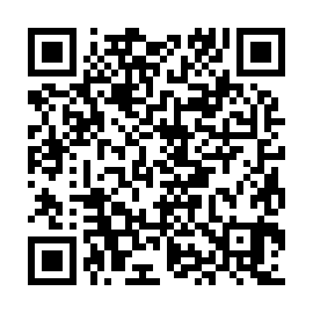 QR code for MI3981