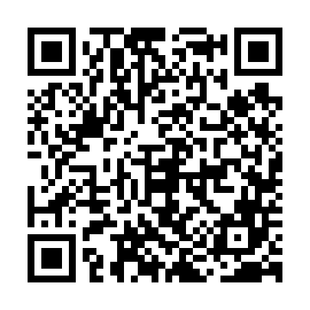 QR code for MI6646