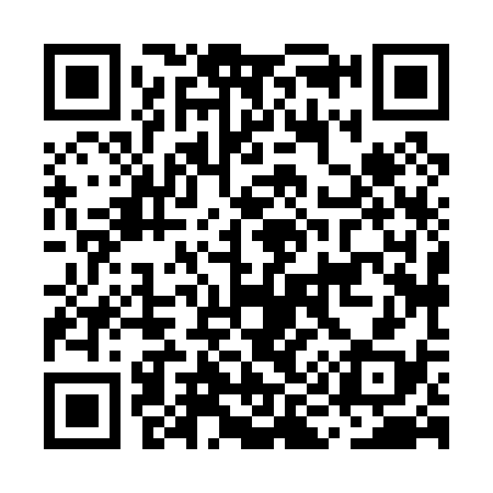 QR code for MI8038