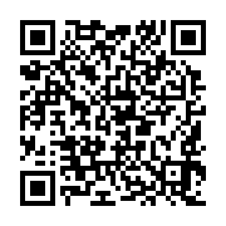 QR code for MI9393