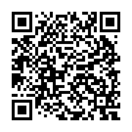 QR code for MJ0295