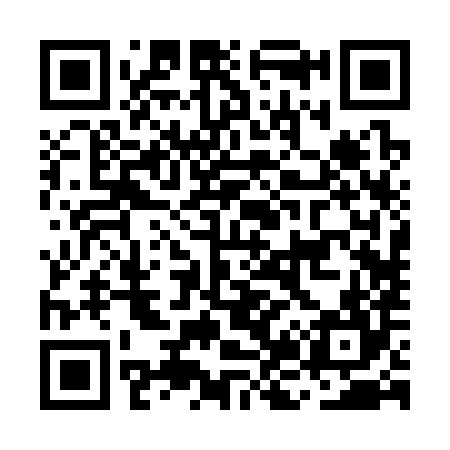 QR code for MJ2384