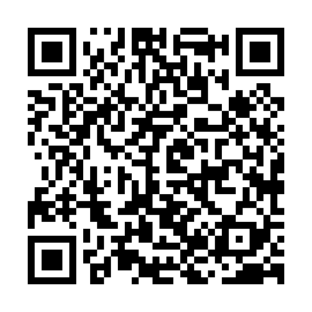 QR code for MJ8029
