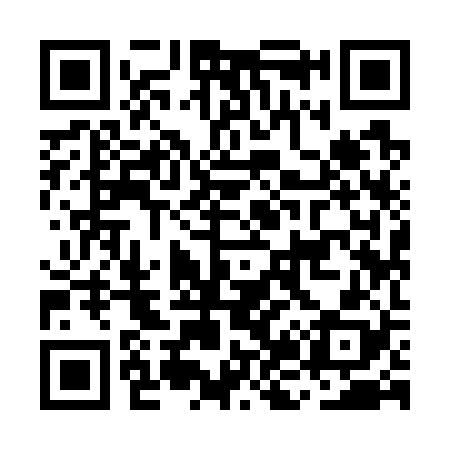 QR code for MJ9728