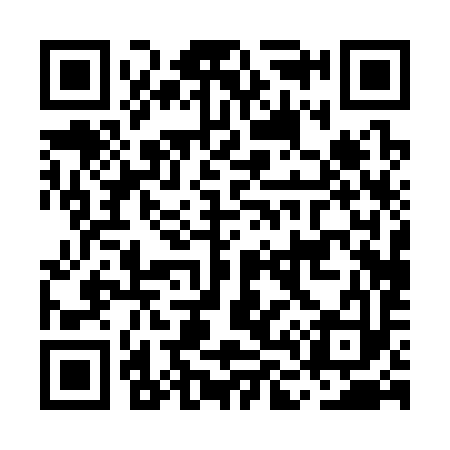 QR code for ML0393
