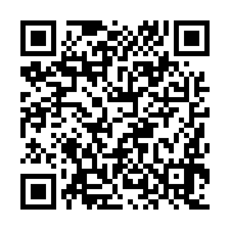 QR code for ML0597