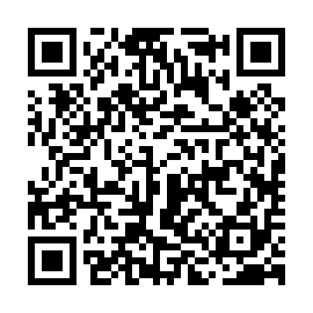 QR code for ML2010