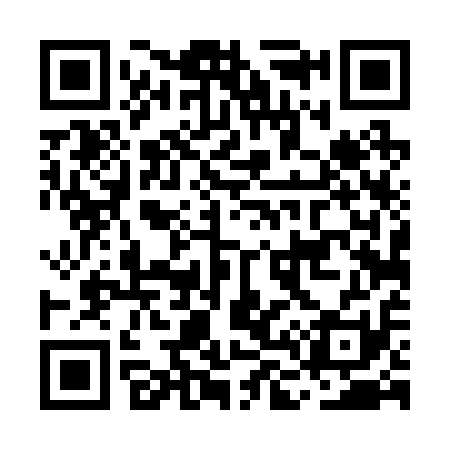 QR code for ML4211