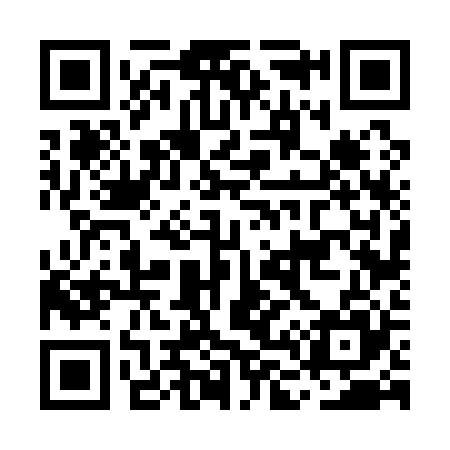QR code for ML6125