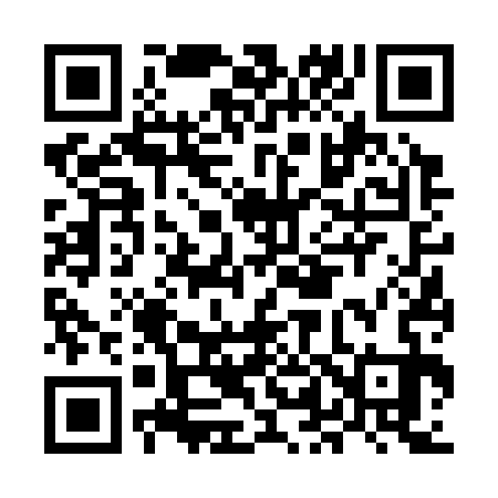 QR code for ML6333