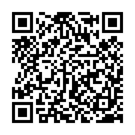 QR code for ML6493